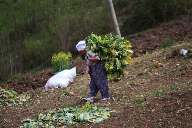 Şartlar zor olsa da Karadeniz kadını çalışmadan duramıyor. Foto Galeri 17