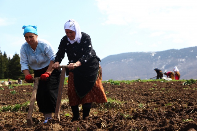 Şartlar zor olsa da Karadeniz kadını çalışmadan duramıyor. Foto Galeri 10