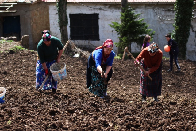 Şartlar zor olsa da Karadeniz kadını çalışmadan duramıyor. Foto Galeri 14