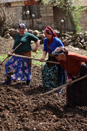 Şartlar zor olsa da Karadeniz kadını çalışmadan duramıyor. Foto Galeri 13
