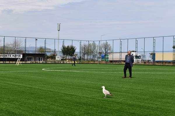 Yalı Mahallesi Futbol Sahası yenileniyor! FİFA Standatlarında olacak. Foto Galeri 2