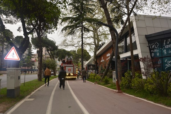 Ordu'da fırtına ağaçları kökünden söktü. Foto Galeri 5