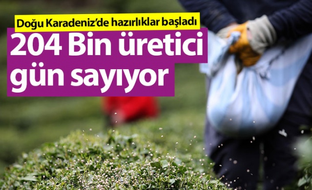 Doğu Karadeniz'de 204 bin üretici yaş çay sezonuna hazırlanıyor. Foto Haber 1