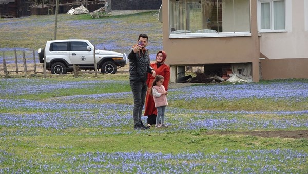 Karlar eridi, Mor Yayla'nın Mavi Yıldız çiçekleri kendini gösterdi. Foto Galeri 13