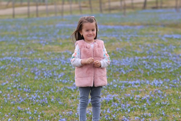 Karlar eridi, Mor Yayla'nın Mavi Yıldız çiçekleri kendini gösterdi. Foto Galeri 22