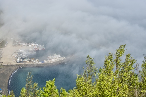Trabzon'da sis etkili oldu. Foto Haber 4