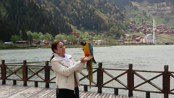 Uzungöl Ramazan Bayramı tatiline hazır. Foto Haber 5