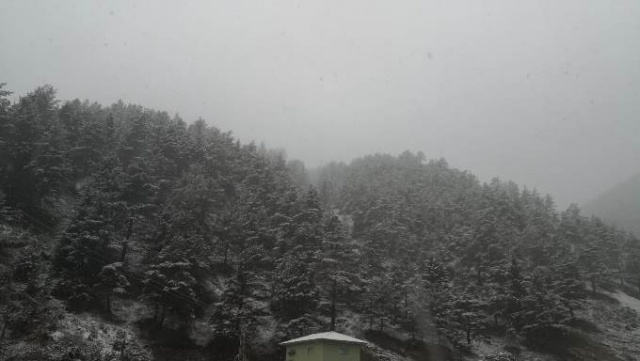 Mayıs ayında kar beyaza bürüdü. Foto Galeri 7