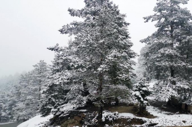 Mayıs ayında kar beyaza bürüdü. Foto Galeri 10