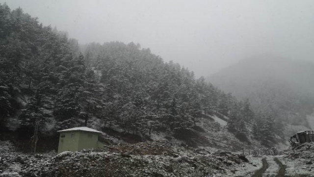 Mayıs ayında kar beyaza bürüdü. Foto Galeri 3