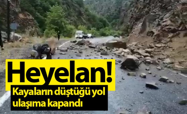 Artvin'de kayaların düştüğü yol, ulaşıma kapandı. Foto Galeri 1
