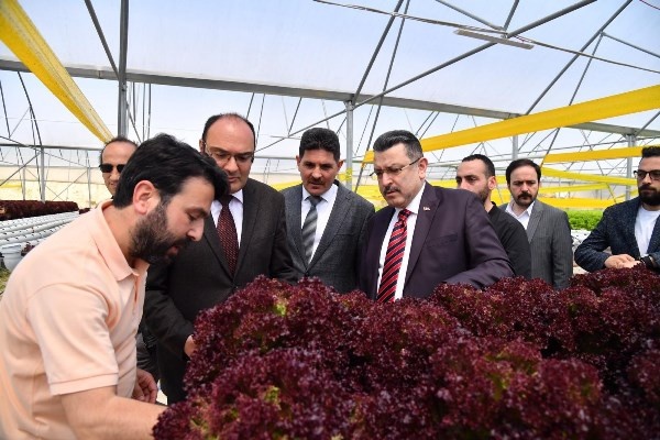 Trabzon’da seracılık gelişiyor! Yılda 100 Bin marul. Foto Haber 7