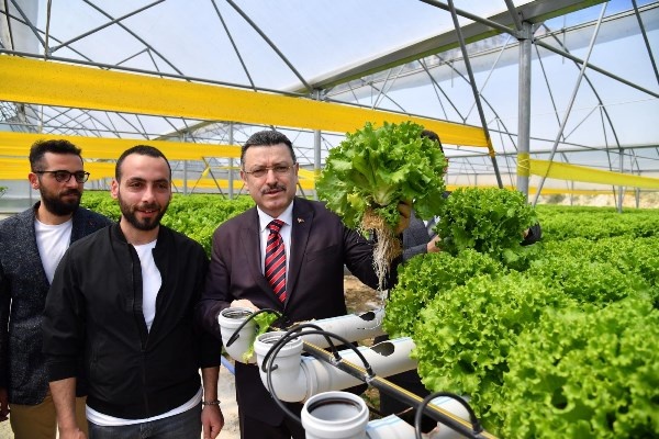 Trabzon’da seracılık gelişiyor! Yılda 100 Bin marul. Foto Haber 6