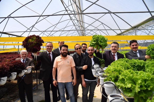 Trabzon’da seracılık gelişiyor! Yılda 100 Bin marul. Foto Haber 5