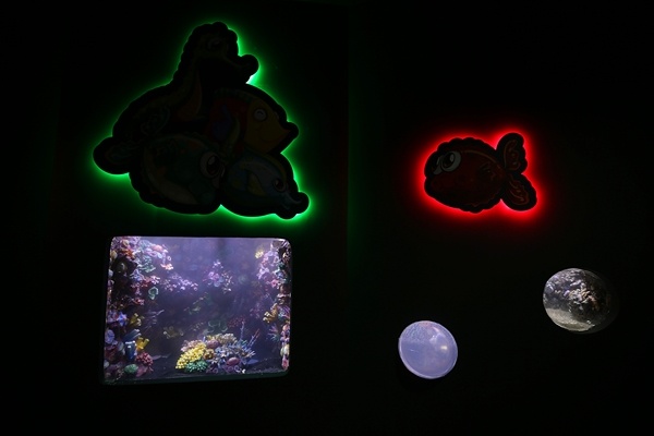 "Tünel Akvaryum" misafirlerini ağırlayacak! İşte detaylar fotoğraflar. Foto Galeri 9