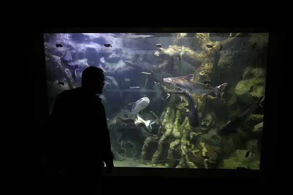 "Tünel Akvaryum" misafirlerini ağırlayacak! İşte detaylar fotoğraflar. Foto Galeri 17