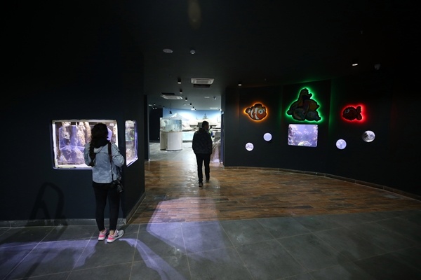 "Tünel Akvaryum" misafirlerini ağırlayacak! İşte detaylar fotoğraflar. Foto Galeri 14