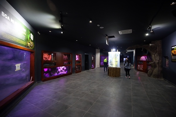 "Tünel Akvaryum" misafirlerini ağırlayacak! İşte detaylar fotoğraflar. Foto Galeri 13