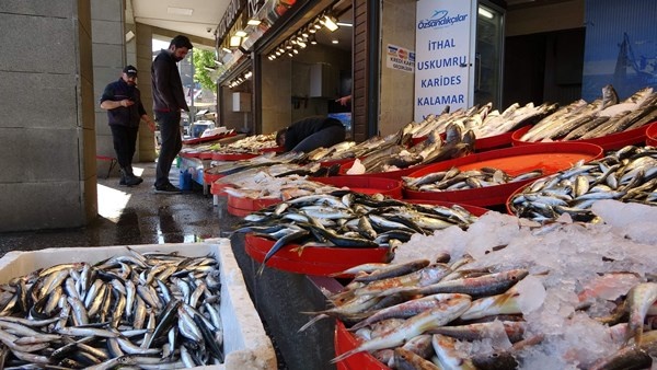 Mayıs'ta küçük balıkçılara hamsi sürprizi. Foto Haber 5