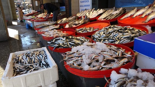 Mayıs'ta küçük balıkçılara hamsi sürprizi. Foto Haber 6