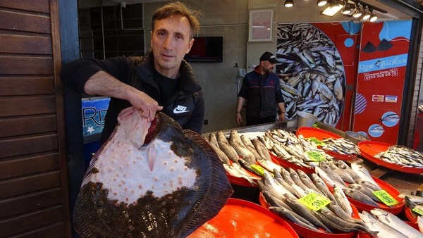 Mayıs'ta küçük balıkçılara hamsi sürprizi. Foto Haber 7