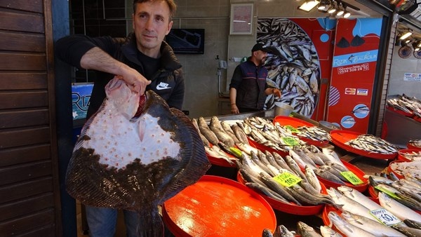 Mayıs'ta küçük balıkçılara hamsi sürprizi. Foto Haber 9