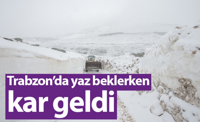 Trabzon'da yaz beklerken kar geldi. Foto Galeri 1