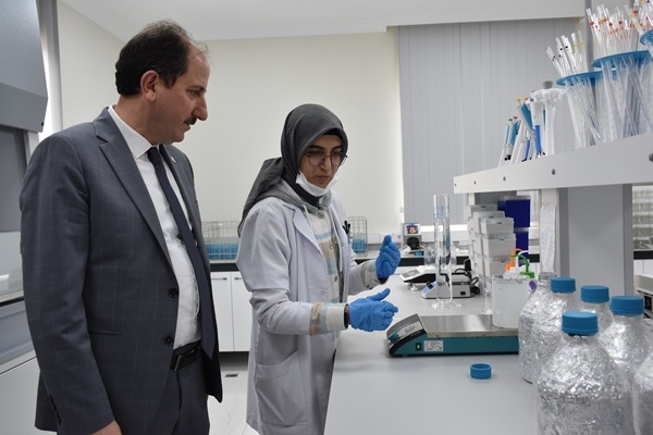 Trabzon'da yetiştiriliyor! Doğu Karadeniz'in her yerinde toprakla buluşuyor. Foto Galeri 2