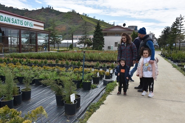 Trabzon'da yetiştiriliyor! Doğu Karadeniz'in her yerinde toprakla buluşuyor. Foto Galeri 15