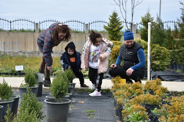 Trabzon'da yetiştiriliyor! Doğu Karadeniz'in her yerinde toprakla buluşuyor. Foto Galeri 7
