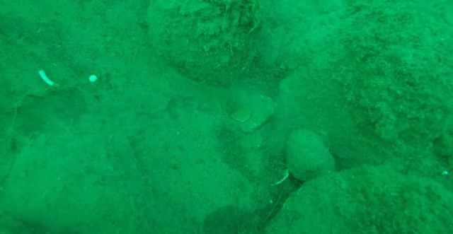 Trabzon'da heyecanlandıran gelişme! Tarih denizden çıktı. Foto Haber 12