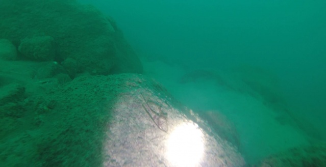 Trabzon'da heyecanlandıran gelişme! Tarih denizden çıktı. Foto Haber 8