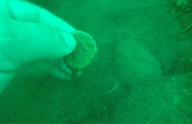 Trabzon'da heyecanlandıran gelişme! Tarih denizden çıktı. Foto Haber 13