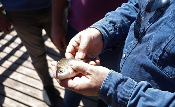 İsrail sazanına savaş! Av yarışması. Foto Haber 2