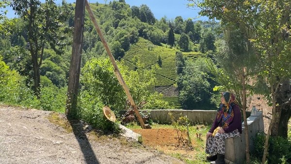 Rize'de elektrik direği yıkılmasın diye yapmadığı kalmadı 3