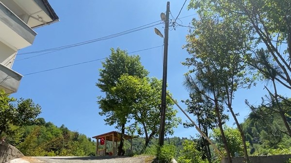 Rize'de elektrik direği yıkılmasın diye yapmadığı kalmadı 6
