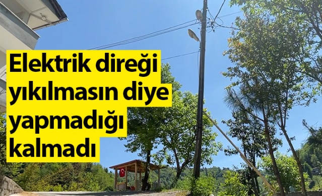 Rize'de elektrik direği yıkılmasın diye yapmadığı kalmadı 1