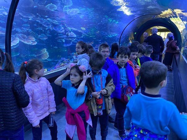 Trabzon Akvaryum’a ziyaretçi akını! Dört günde 8448 kişi. Foto Haber 7