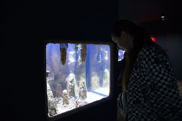 Trabzon Akvaryum’a ziyaretçi akını! Dört günde 8448 kişi. Foto Haber 6