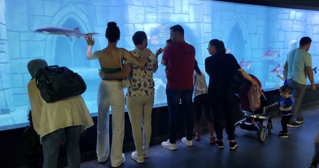 Trabzon'daki dev akvaryumda Hamsi neden yok? İşte sebebi. Foto Galeri 4