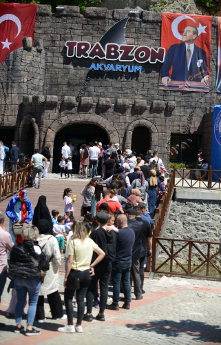 Trabzon'daki dev akvaryumda Hamsi neden yok? İşte sebebi. Foto Galeri 13