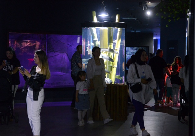 Trabzon'daki dev akvaryumda Hamsi neden yok? İşte sebebi. Foto Galeri 15