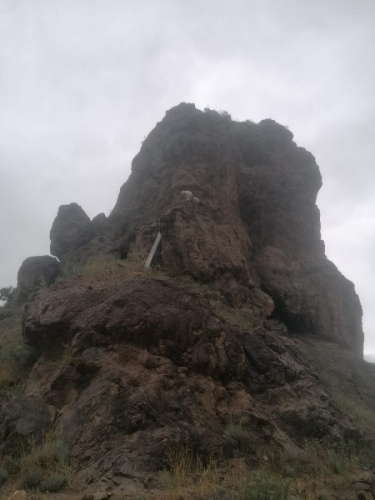 Artvin'de kayalıklarda mahsur kalan keçiler itfaiye ekipleri tarafından kurtardı. Foto Galeri 2