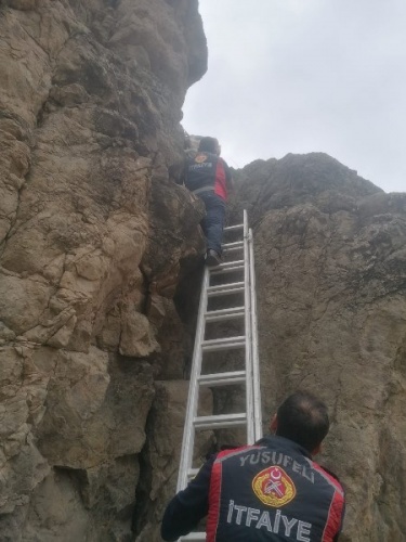 Artvin'de kayalıklarda mahsur kalan keçiler itfaiye ekipleri tarafından kurtardı. Foto Galeri 5