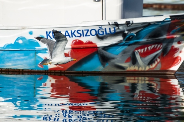 Trabzon'da güneşli hava.26 Mayıs 2022 Foto Galeri 11