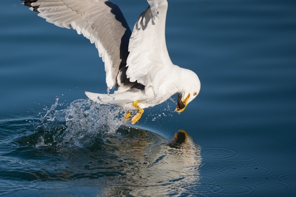 Trabzon'da güneşli hava.26 Mayıs 2022 Foto Galeri 10