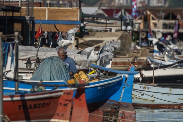 Trabzon'da güneşli hava.26 Mayıs 2022 Foto Galeri 5