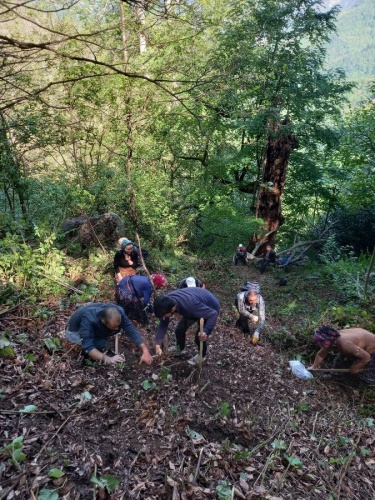 Gümüşhane'de şok olay! Ot toplayan köylüler insan kemikleri buldu. Foto Haber 6