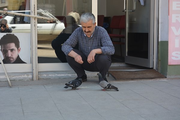 Ordu’da berberin güvercinlerle dostluğu. Foto Haber 3