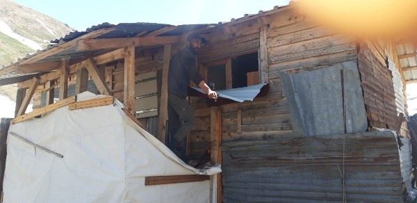 Rize'de aç kalan ayılar yayla evlerini talan etti. Foto Haber 2